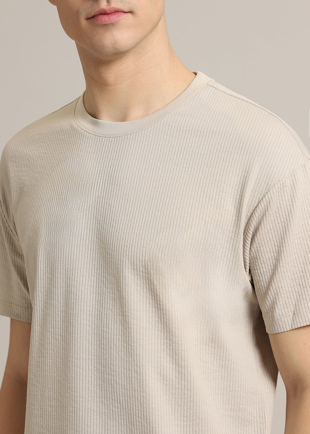 Beige Plain Ribbed Stripe Regular Fit T-shirt