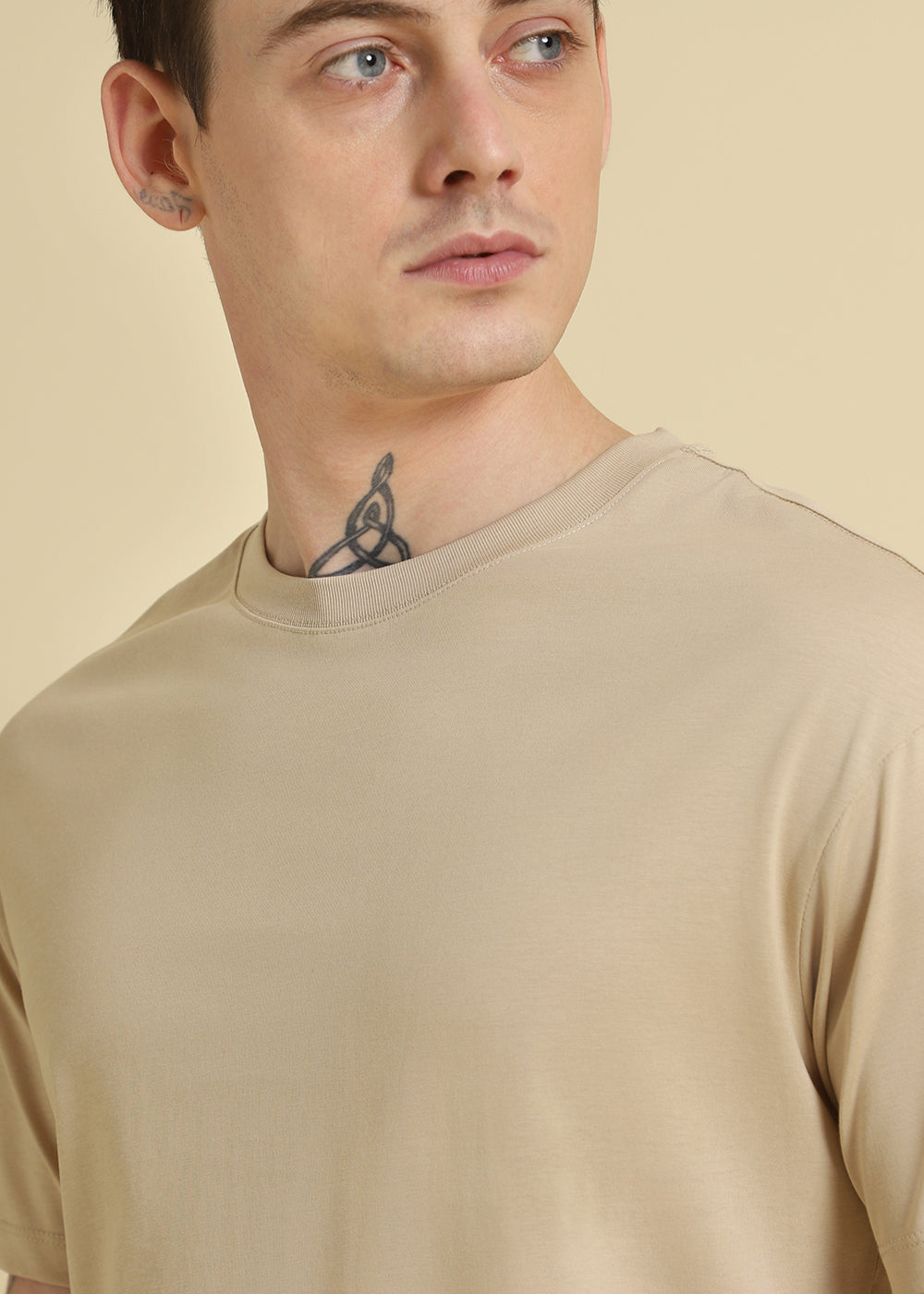 Beige Plain Basic Regular Fit T-shirt